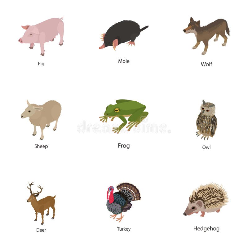 Animal of the World Icons Set, Isometric Style Stock Vector - Illustration  of icons, monkey: 125263852