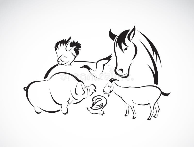 Animale da allevamento di vettore messo su fondo bianco illustrazione vettoriale Animale da allevamento di vettore messo su fondo bianco illustrazione vettoriale