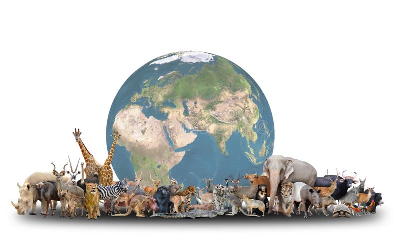Animale del mondo con pianeta Terra