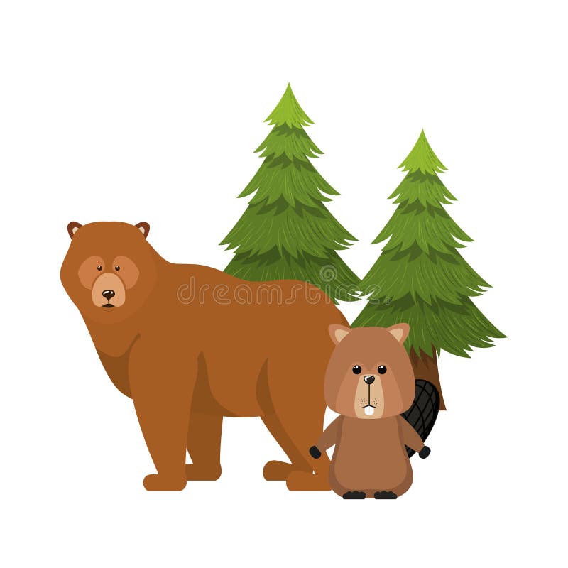 Animale della foresta del castoro e dell'orso di progettazione del Canada illustrazione vettoriale Animale della foresta del castoro e dell'orso di progettazione del Canada illustrazione vettoriale
