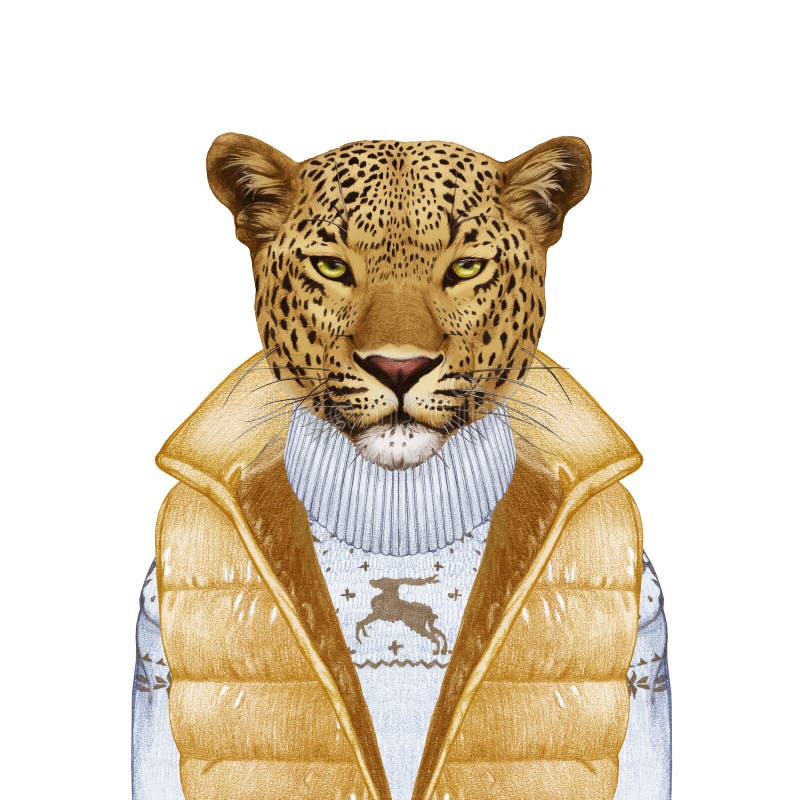 Animales como ser humano El retrato del leopardo en abajo concede y suéter libre illustration Animales como ser humano El retrato del leopardo en abajo concede y suéter libre illustration