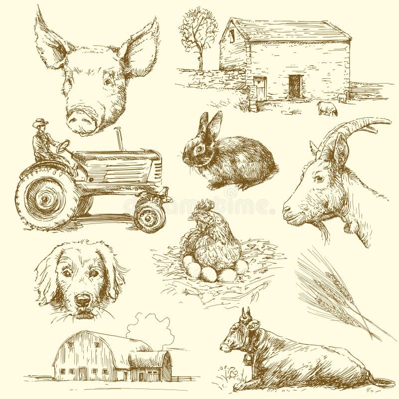 Animales del campo libre illustration Animales del campo libre illustration