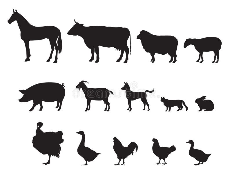 Collection of icons: farm animals -. Collection of icons: farm animals -