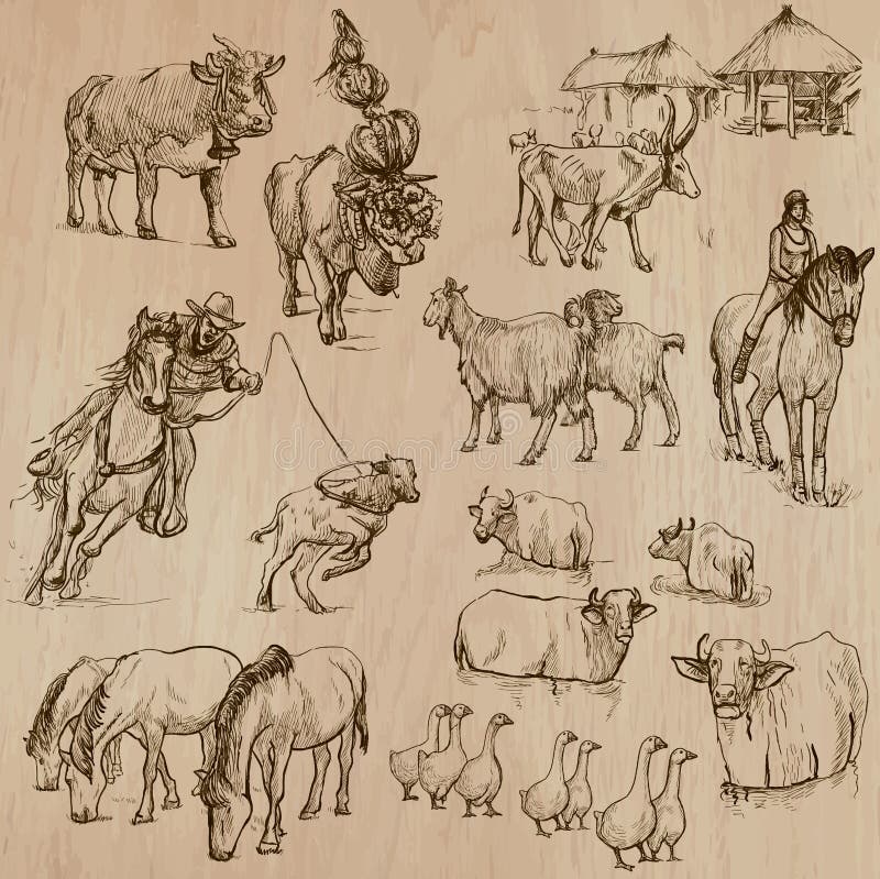 Animales del campo Paquete dibujado mano del vector stock de ilustración Animales del campo Paquete dibujado mano del vector stock de ilustración