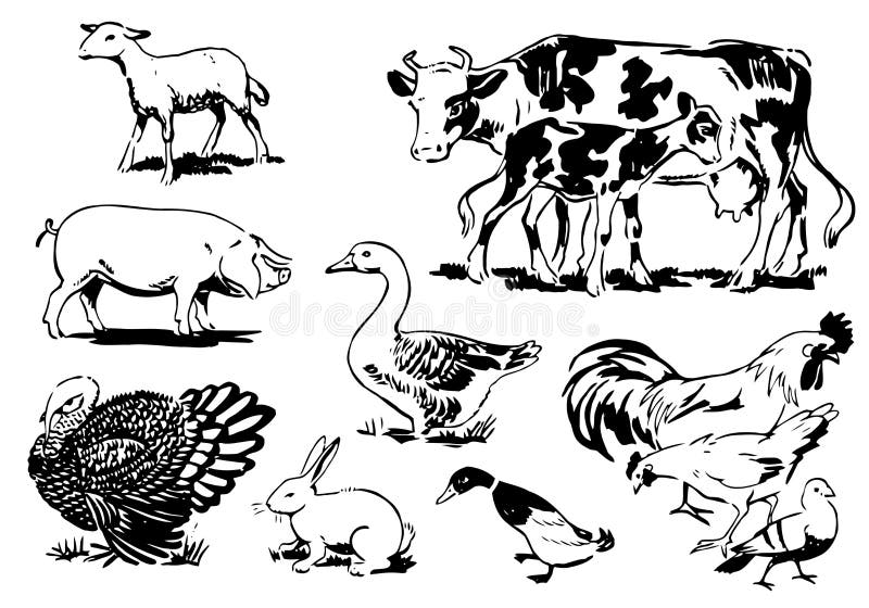 Retro style black and white farm animals. Retro style black and white farm animals