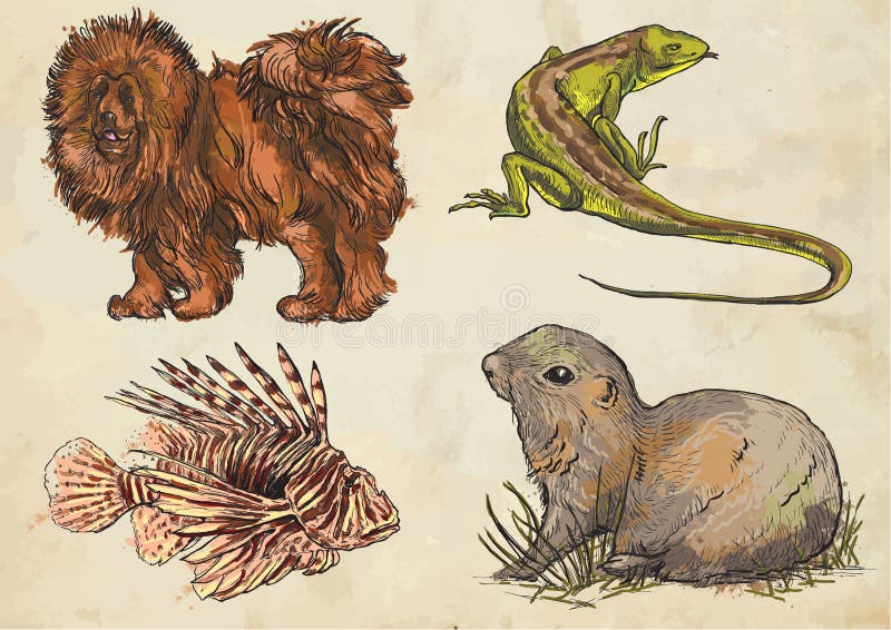 Animales - paquete coloreado del vector Freehands ilustración del vector Animales - paquete coloreado del vector Freehands ilustración del vector