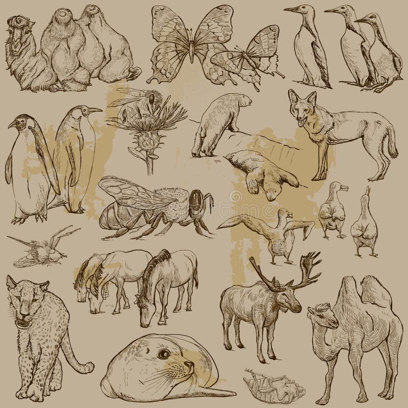 Animales - paquete dibujado mano del vector ilustración del vector Animales - paquete dibujado mano del vector ilustración del vector