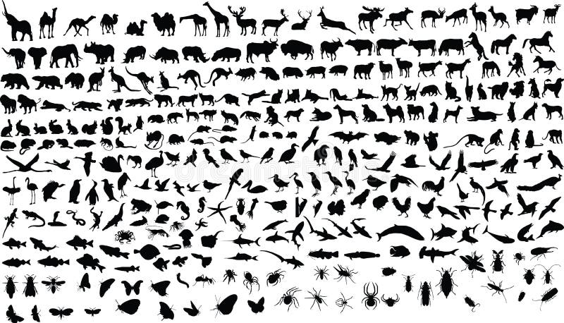 Animali illustrazione vettoriale Animali illustrazione vettoriale