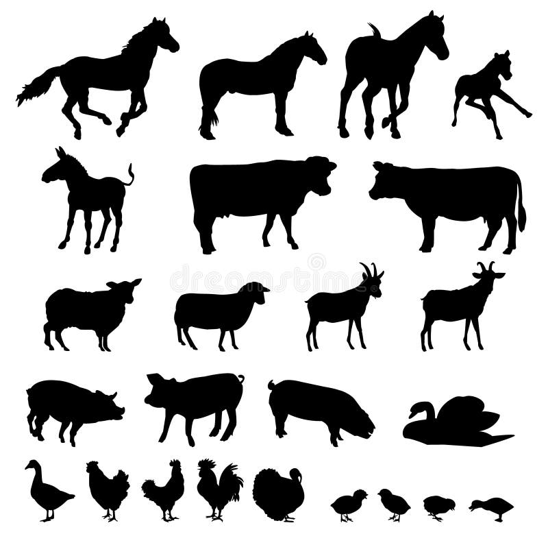 Animali da allevamento illustrazione vettoriale Animali da allevamento illustrazione vettoriale