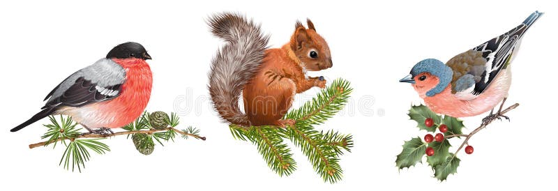 Animali di inverno messi con gli uccelli e lo scoiattolo royalty illustrazione gratis Animali di inverno messi con gli uccelli e lo scoiattolo royalty illustrazione gratis