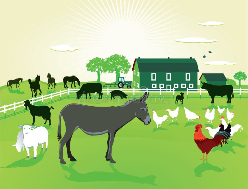 Animali sull'azienda agricola illustrazione di stock Animali sull'azienda agricola illustrazione di stock