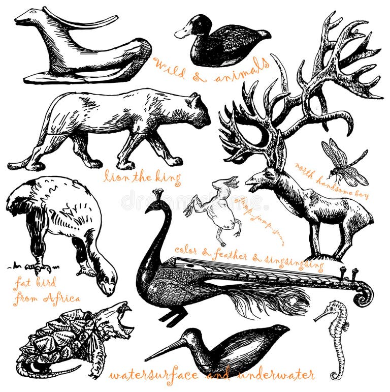 Spot Animals Stock Illustrations – 7,401 Spot Animals Stock