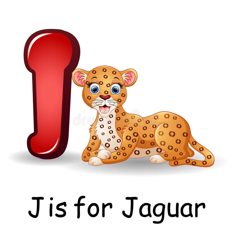Animals Alphabet J is for Jaguar Stock Vector Illustration of
