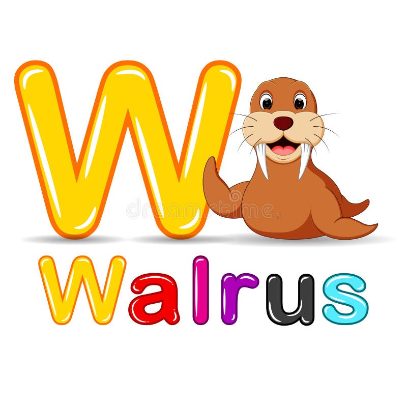 Animals alphabet: W is for Walrus royalty free illustration Animals alphabet: W is for Walrus royalty free illustration