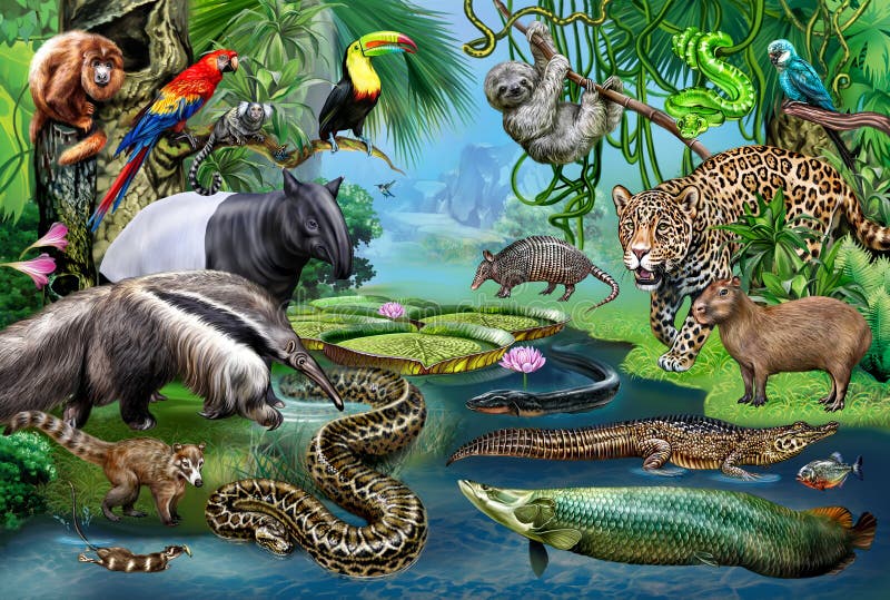 Animals of the Amazon stock illustration. Illustration of endangered -  223601879