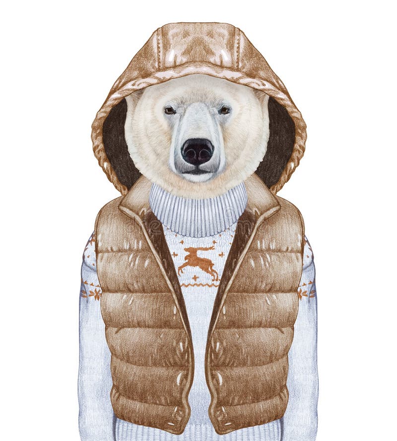 Animals as a human. Polar Bear in down vest and sweater.