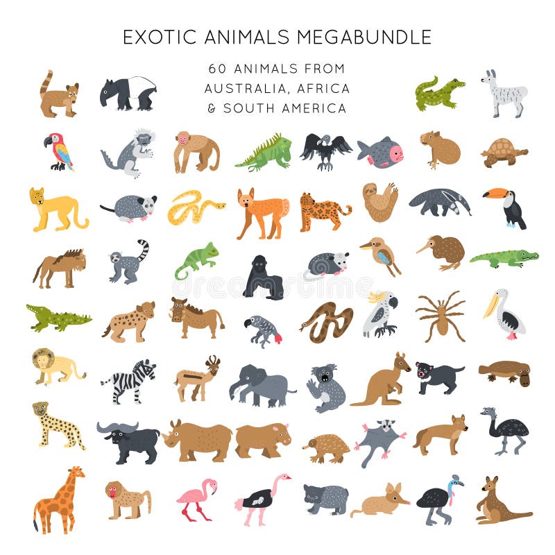 Animals Clipart Bundle Vector Stock Illustration - Illustration of exotic,  appliance: 168108873