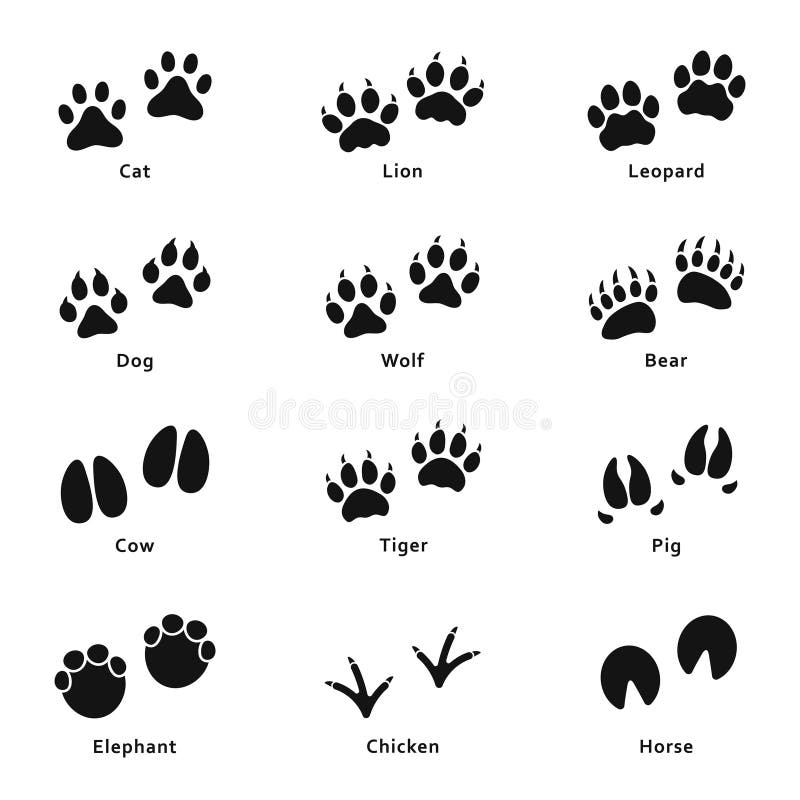 Animal tracks. Footprint animals, goose track. Isolated black