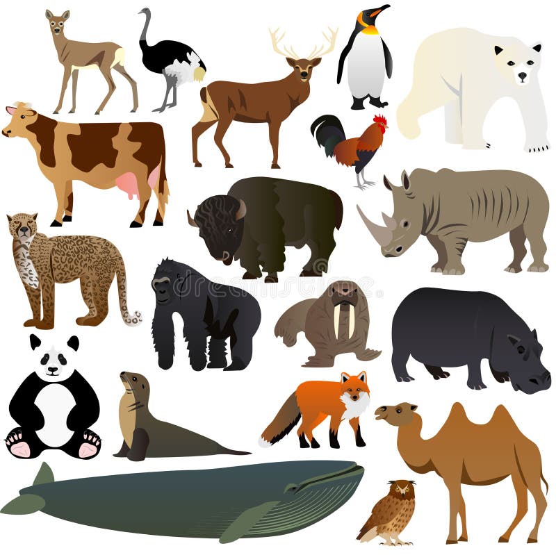 Animals 1