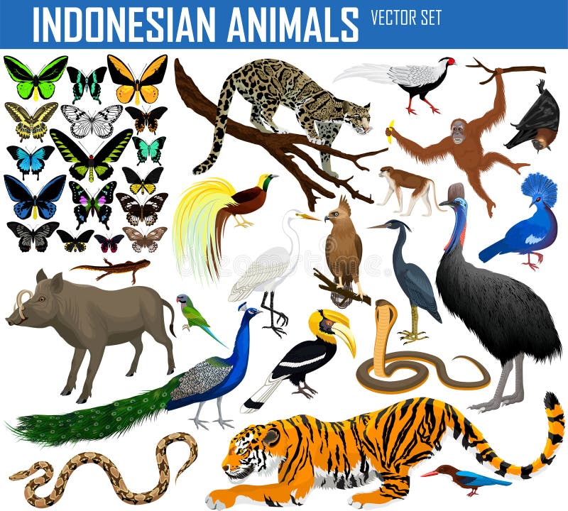 Los animales de a un conjunto compuesto por ilustraciones.