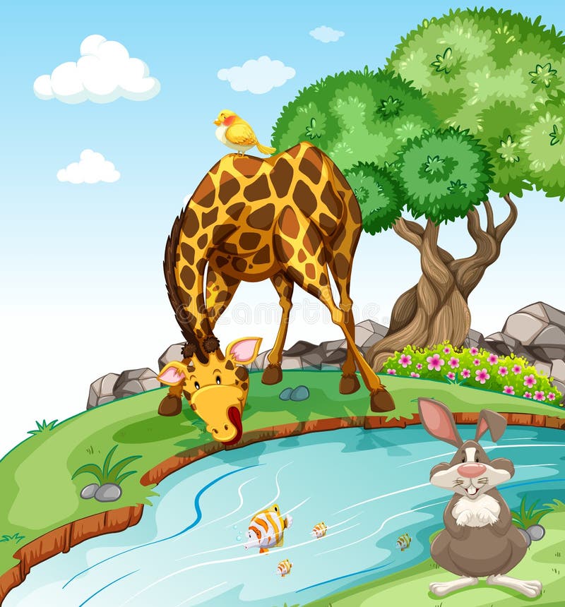 Animals Drinking Water Stock Illustrations 199 Animals Drinking Water