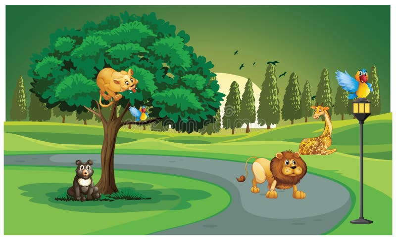 Animals are playing in jungle vector illustration Animals are playing in jungle vector illustration