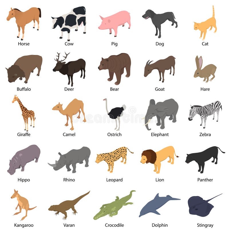 Animals with Signed Name Icons Set Isometric Style Stock Vector -  Illustration of head, animals: 119335773
