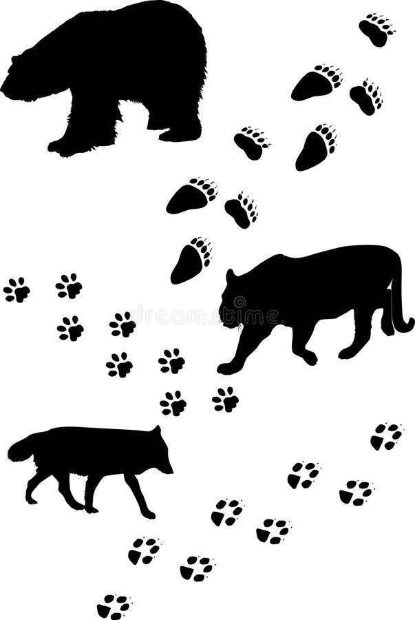 Animals and tracks