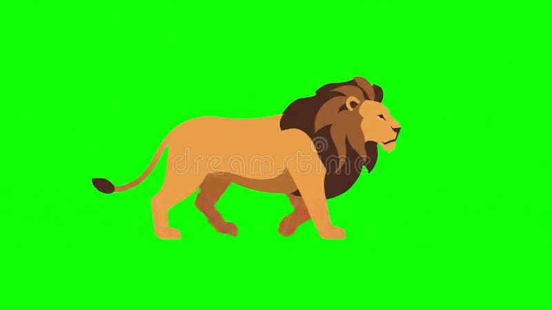 Animated Lion Walking Cycle on Green Screen Arrière-plan pour la composition illustration stock