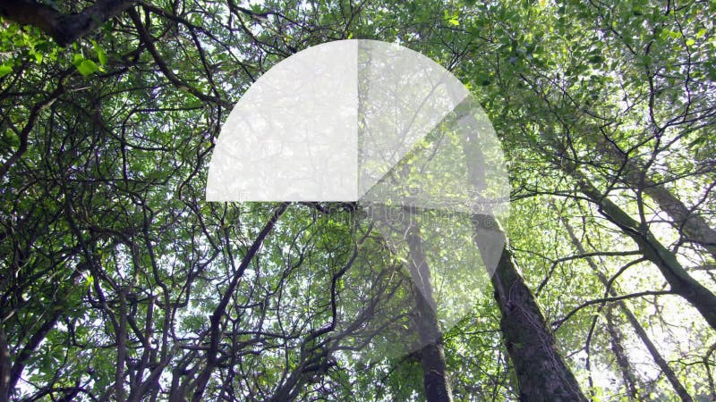 Animating pie chart over green tree canopy in forest stock video