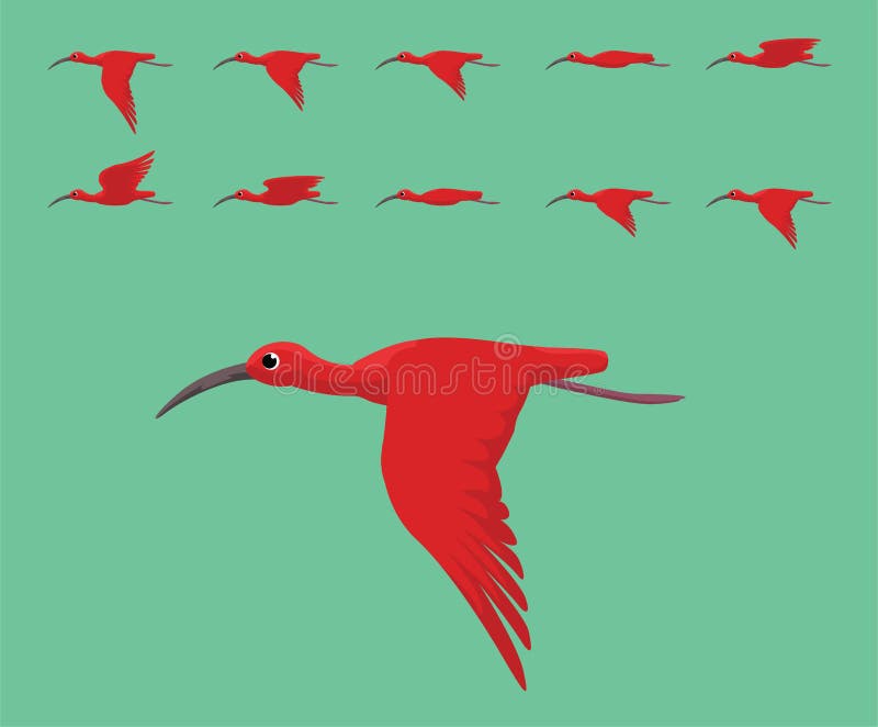 Animation Bird Red Flamingo Flying Cute Cartoon Vector Illustration Stock  Vector - Illustration of format, vector: 176766341