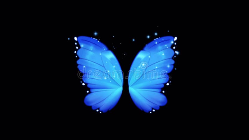 Butterfly Animation Stock Video Footage, Royalty Free Butterfly Animation  Videos