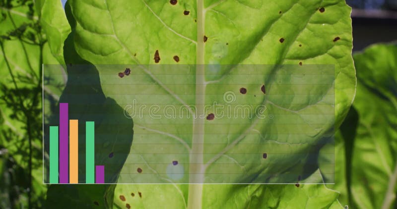 Animation of colourful diagrams over green leaves stock footage