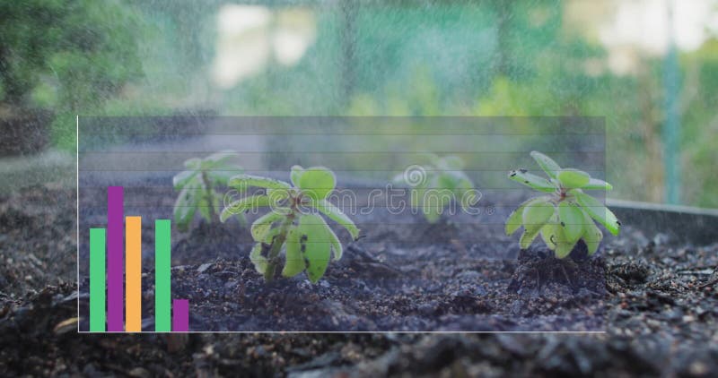 Animation of colourful diagrams over green plants stock footage