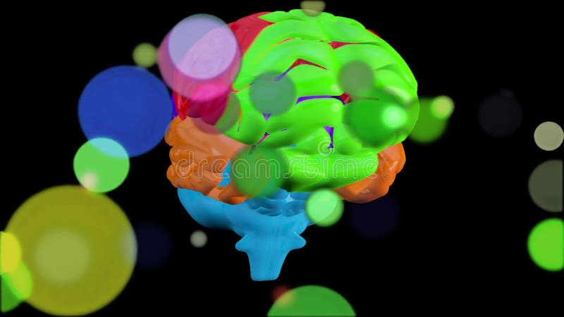 Animation of 3d brightly colored human brain rotating on black background vector illustration