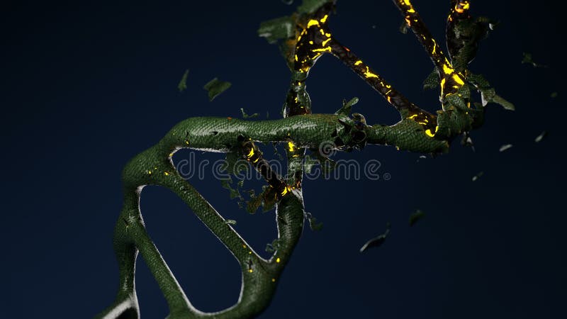 Animation 3d eines Ausländer-DNA-Verminderungsmoleküls