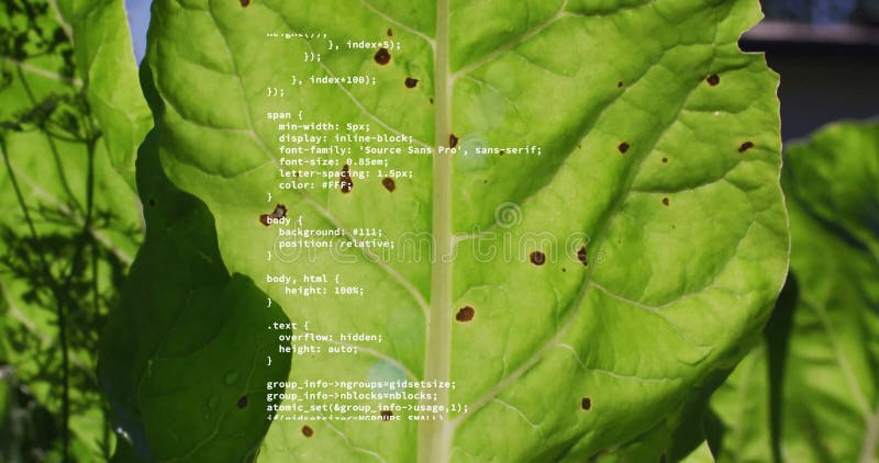 Animation of data processing over green leaves stock video