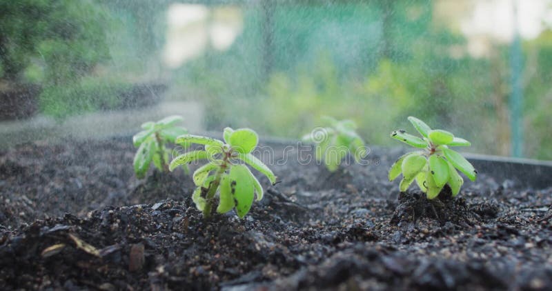 Animation of data processing over green plants stock video footage