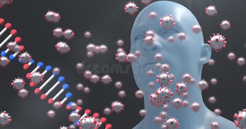 Animation de covid 19 cellules buste humain et filature de brin d'adn banque de vidéos