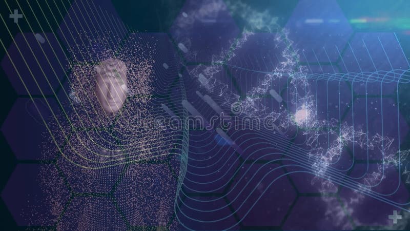 Animation digital human body with dna helix, wave pattern and hexagons over lens flares stock illustration