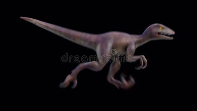 (4K) Looping Velociraptor Running 2