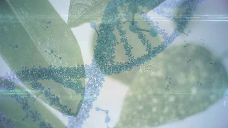 Animation of dna strand over green leaves stock footage