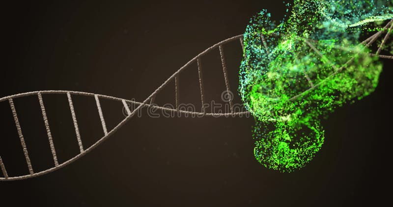Animation of dna strand over green spots stock footage