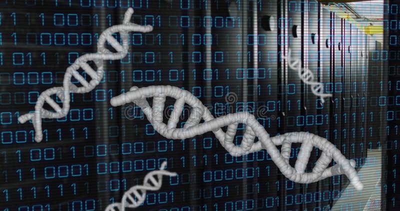 Animation of dna strands, binary coding and data processing over computer servers vector illustration
