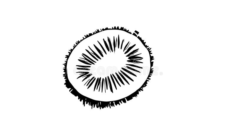 Animation forme un croquis d'une icône kiwi fruit illustration libre de droits