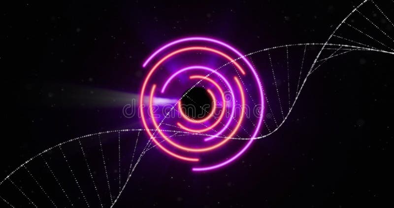 Animation of glowing pink circles and dotted wave lines on dark background vector illustration