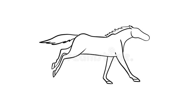 Animation of Hand Frame-by-frame Drawing in Black Color of a Contour of a  Horse in a Run on a White Isolated Background Stock Footage - Video of  silhouette, stallion: 260452952
