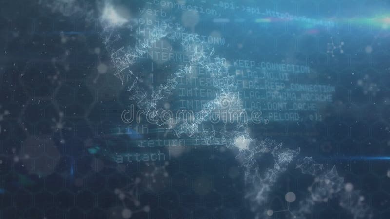 Software developer programming code, looping 4K background 