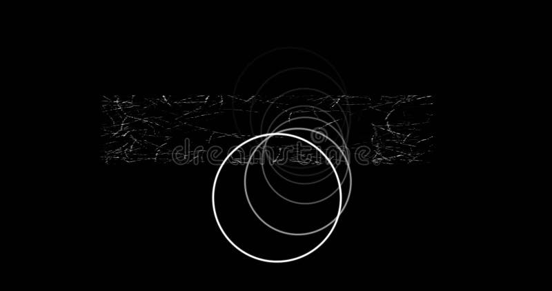 Animation of white circles and abstract lines over black background vector illustration