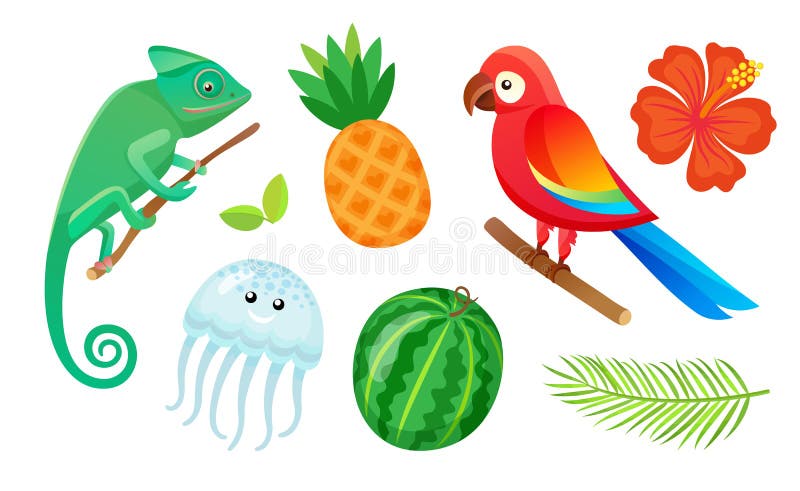 Animaux, fruits et plantes exotiques, vacances d'été illustration stock Animaux, fruits et plantes exotiques, vacances d'été illustration stock
